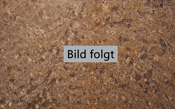 Bild folgt